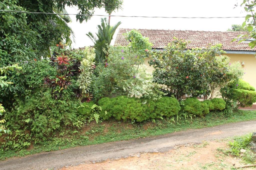 Hill Residence Hikkaduwa Habitación foto